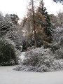 more snow nov 2019 015